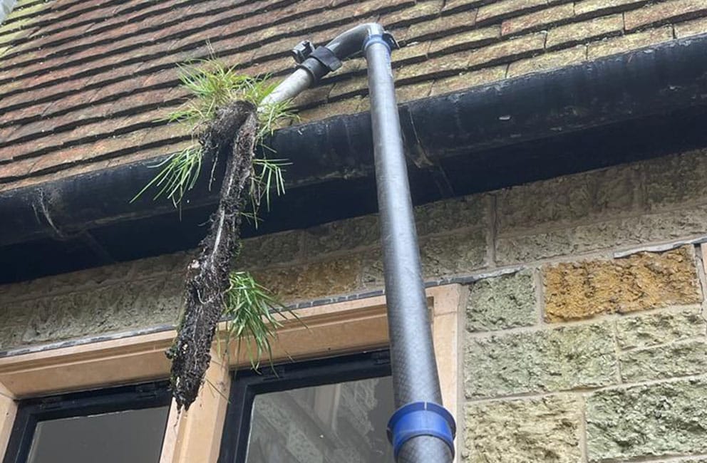 the dangers of neglecting your gutters common problems and costly repairs