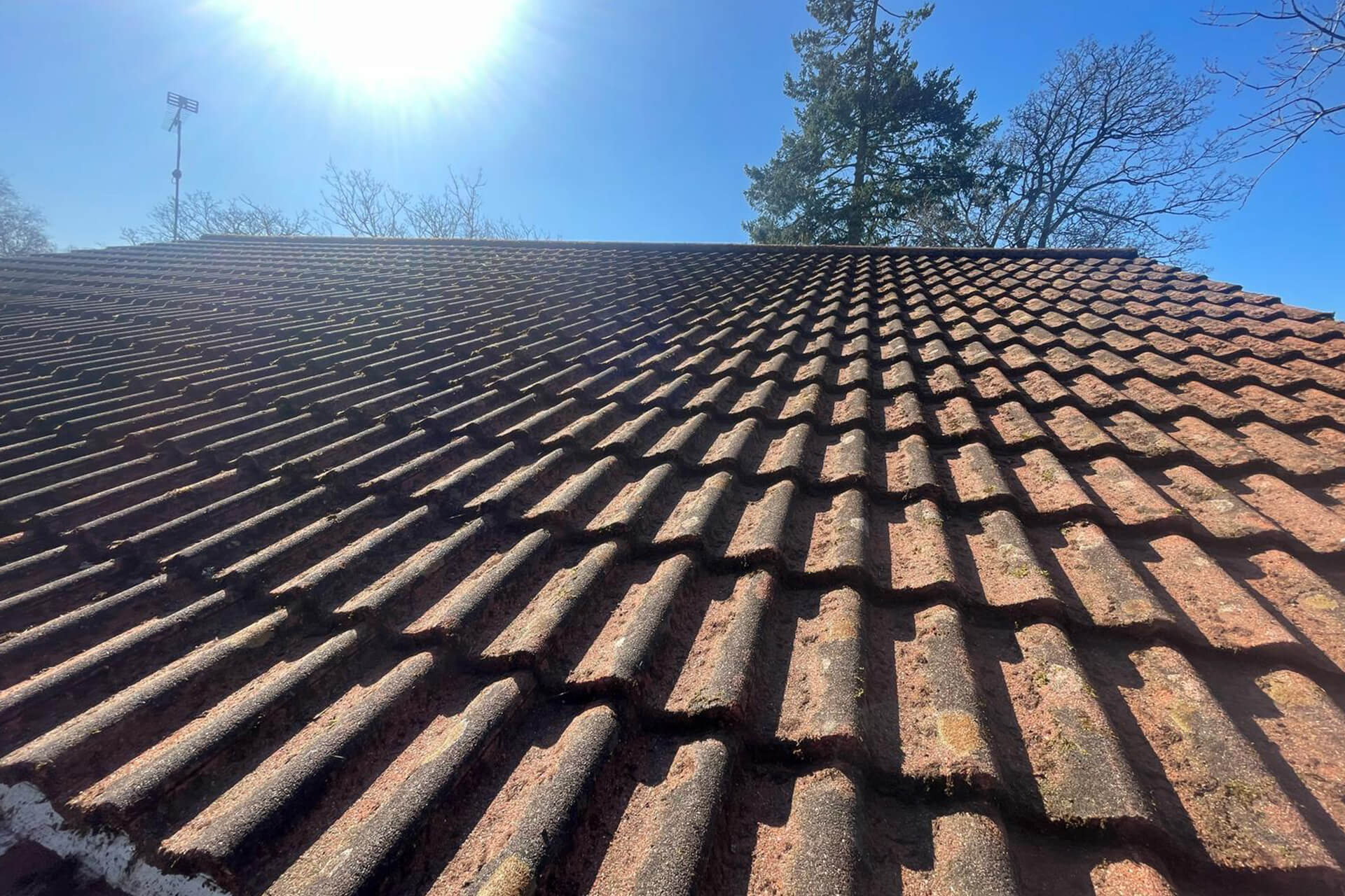 Roof Cleaning Professionals in Weymouth